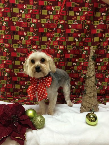 Pet Store «Happy, Clean and Smart», reviews and photos, 5700 W Kilgore Ave, Muncie, IN 47304, USA