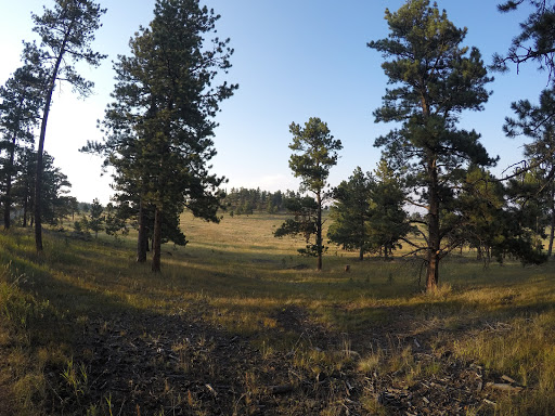 Hardware Store «Ace Hdwe Highlands Ranch», reviews and photos, 9579 S University Blvd Ste 100, Highlands Ranch, CO 80126, USA