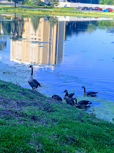 Park «Phillips Park», reviews and photos, 901 Ray Moses Dr, Aurora, IL 60505, USA