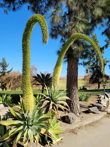 Hansen Dam Golf Course image