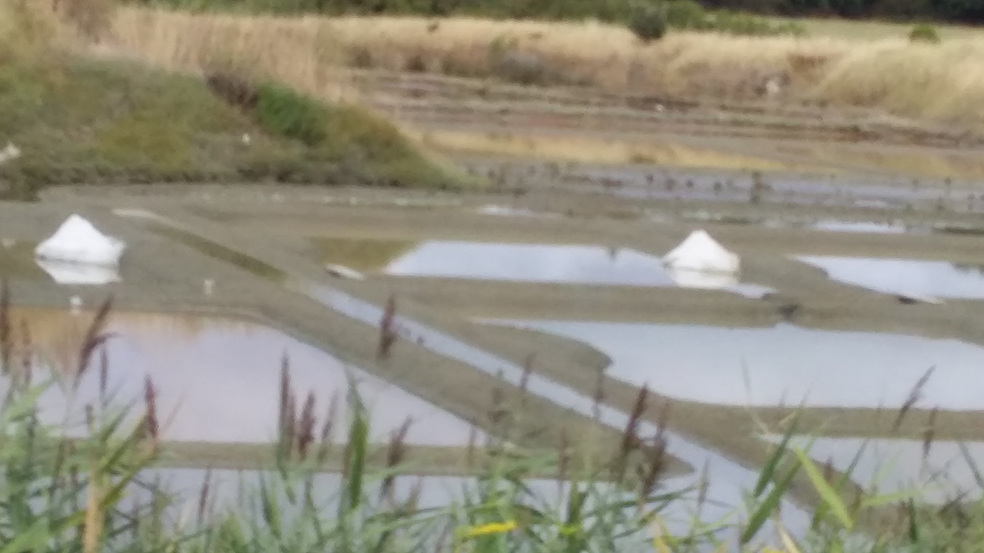 Photo n° 4 de l'avis de Laurence.i fait le 11/08/2019 à 14:43