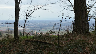 Ancienne carrière de grès à Gueberschwihr