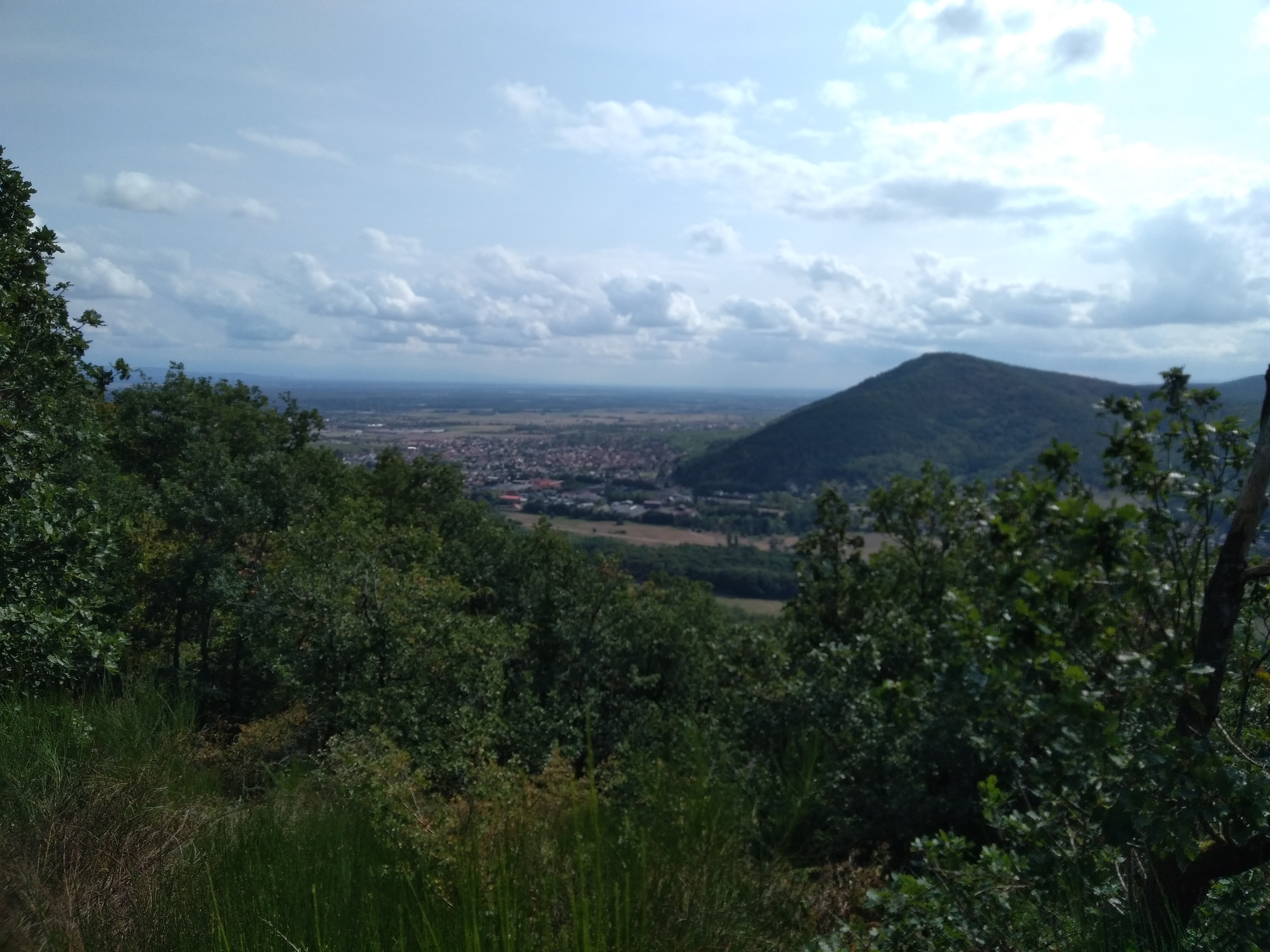 Photo n° 7 de l'avis de Michael.u fait le 30/08/2018 à 15:57