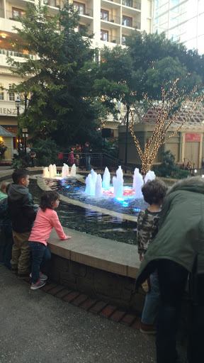 Resort «Gaylord National Resort & Convention Center», reviews and photos, 201 Waterfront St, Oxon Hill, MD 20745, USA