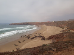 Sidi El Wafi'in fotoğrafı uzun koy ile birlikte