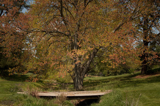 Public Golf Course «Sligo Creek Golf Course», reviews and photos, 9701 Sligo Creek Pkwy, Silver Spring, MD 20901, USA