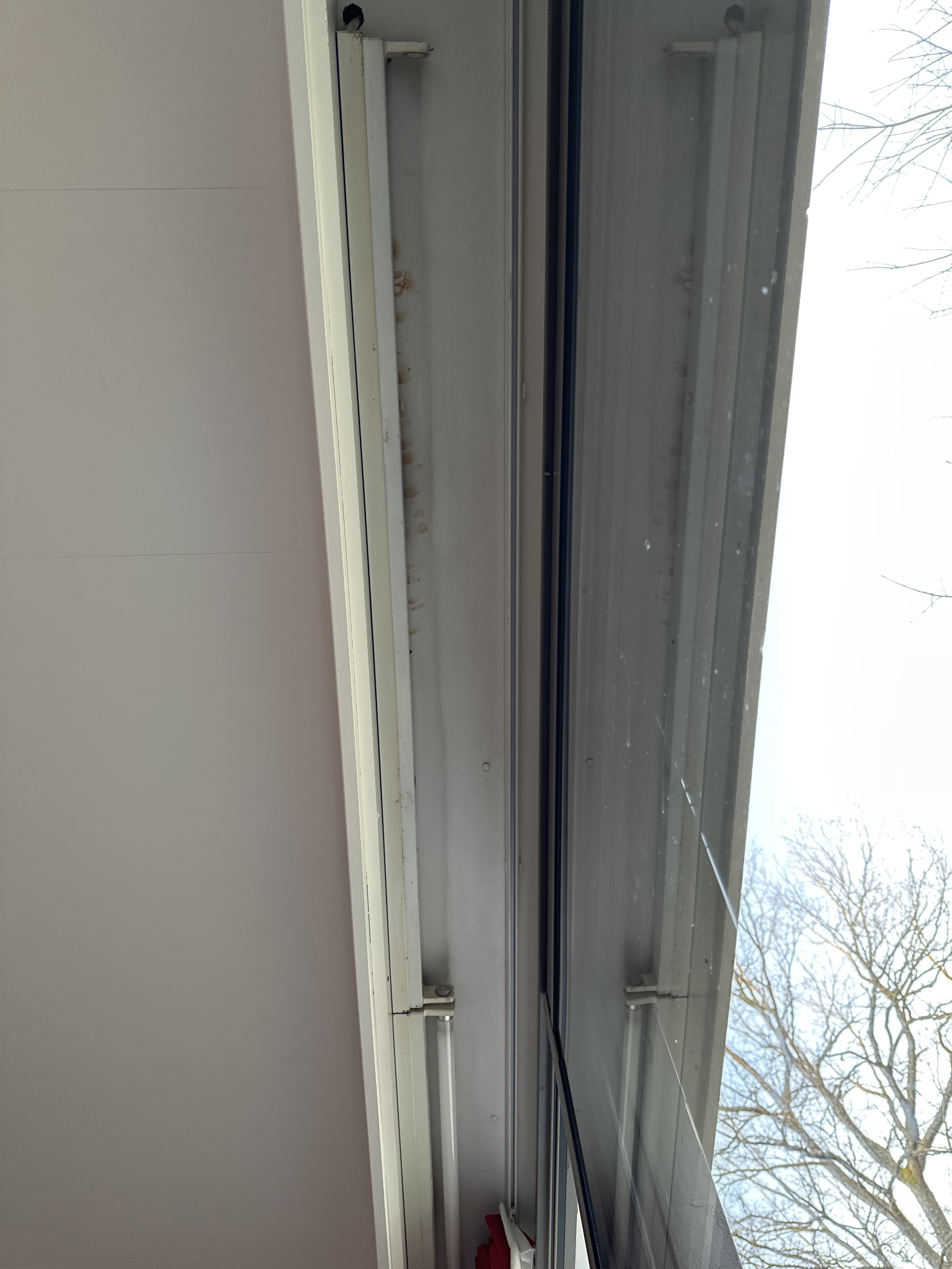 Photo n° 4 de l'avis de afvaf.i fait le 27/02/2024 à 17:14