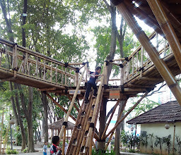 Taman Bambu (Bamboo Park) photo