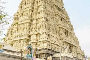 Sri Kamakshi Amman Temple, Kanchipuram image