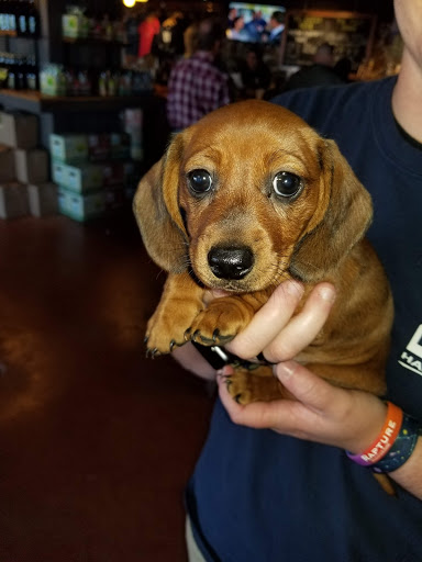 Pet Store «Pet Valu», reviews and photos, 2040 Abbey Rd, Charlottesville, VA 22911, USA