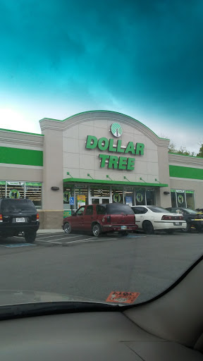 Dollar Store «Dollar Tree», reviews and photos, 42 E Main St, Amelia, OH 45102, USA