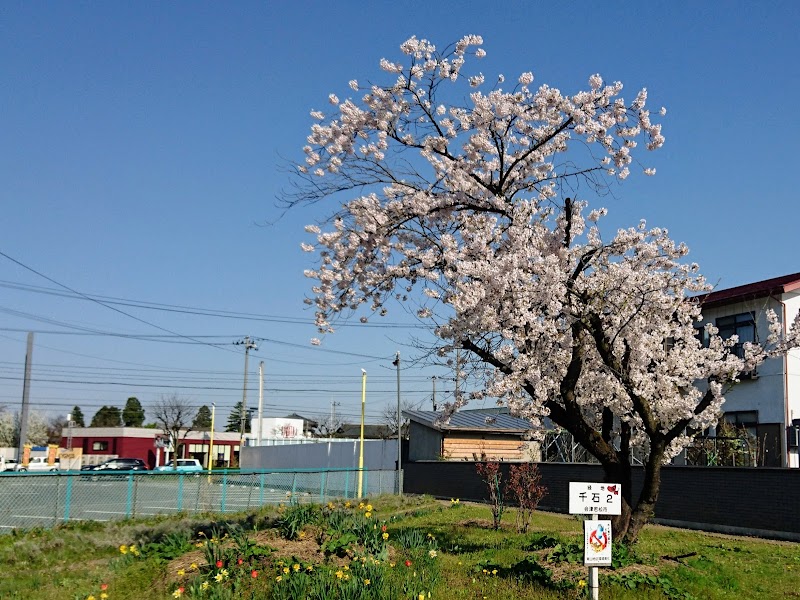 千石2号緑地