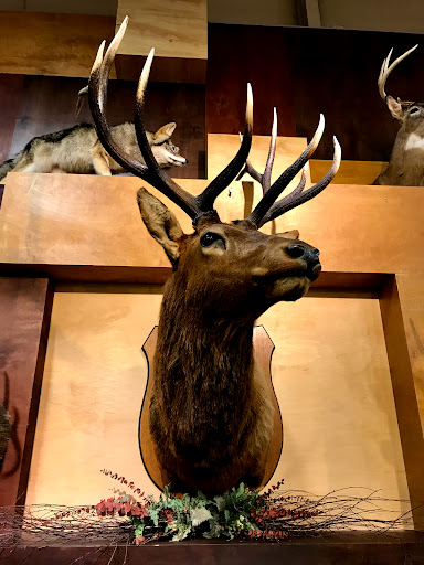 Furniture Store «Dunk & Bright Furniture», reviews and photos, 2648 S Salina St, Syracuse, NY 13205, USA