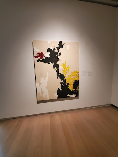 Art Museum «Clyfford Still Museum», reviews and photos, 1250 Bannock St, Denver, CO 80204, USA