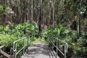 Durras Lake Discovery trail image