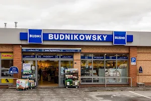 Budnikowski image