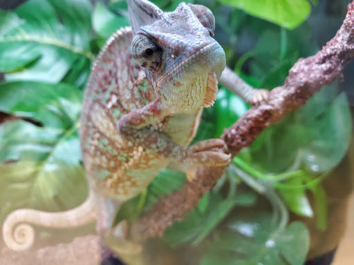 Pet Supply Store «Petco Animal Supplies», reviews and photos, 200 Center Blvd S, Christiana, DE 19702, USA