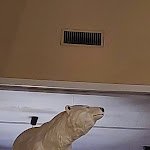 Photo n°3 de l'avis de Nunzio.a fait le 25/03/2023 à 23:19 sur le  L'Orso à Messina