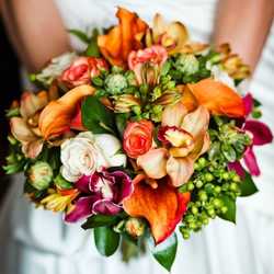 Florist «BunchesDirect», reviews and photos, 7068 NW 50th St, Miami, FL 33166, USA