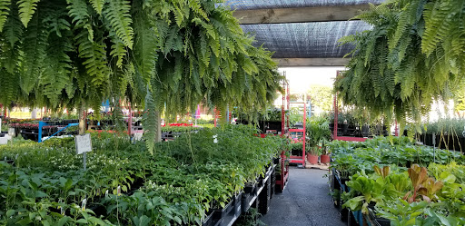 Produce Market «Parkway Produce», reviews and photos, 2601 Preston Hwy, Louisville, KY 40217, USA