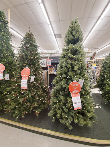 Craft Store «Hobby Lobby», reviews and photos, 501 Sawdust Rd, Spring, TX 77380, USA