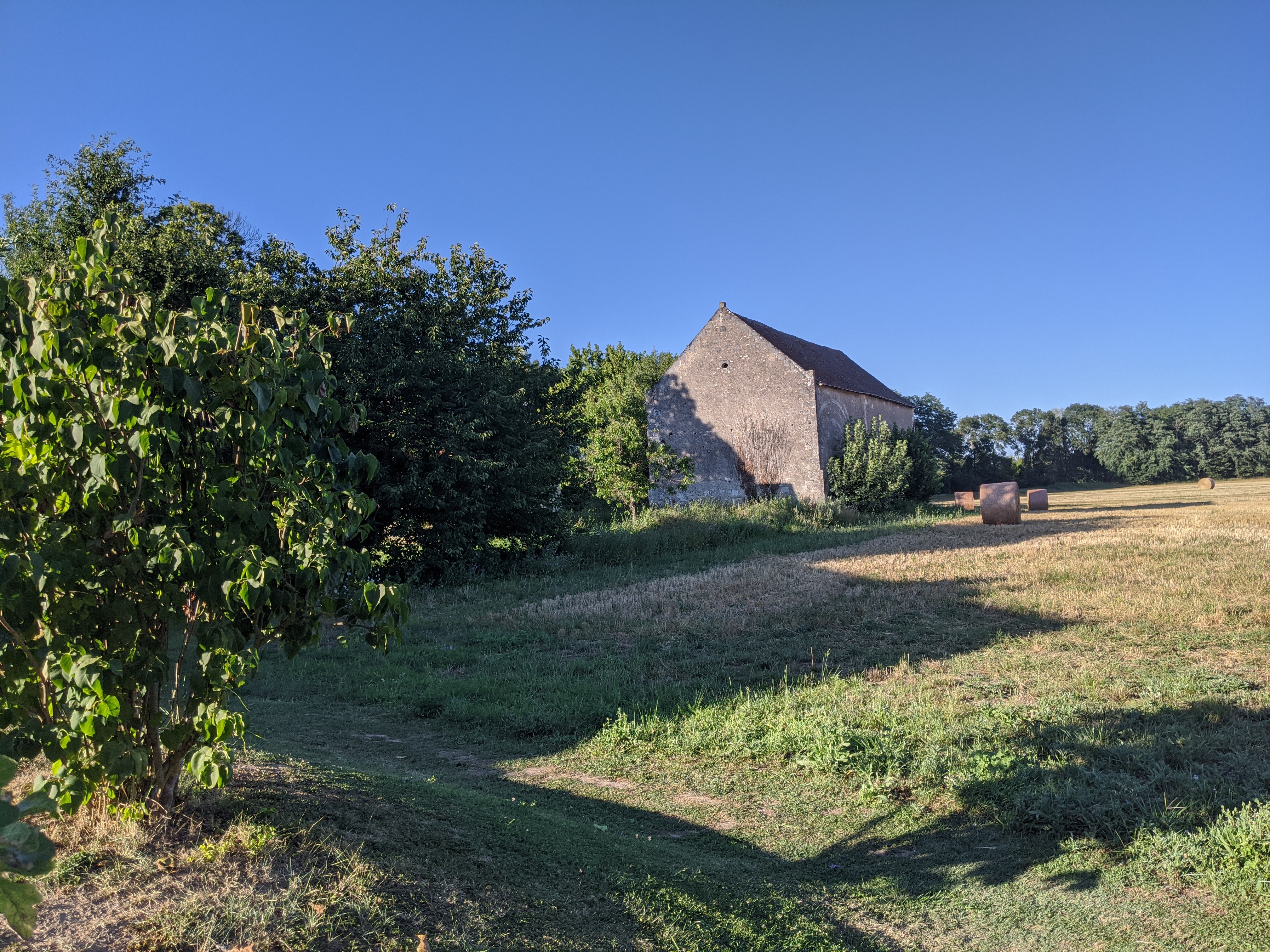 Photo n° 3 de l'avis de Auguste.s fait le 29/07/2020 à 17:26