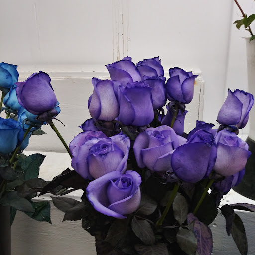 Florist «Century Flower Market», reviews and photos, 4701 W Century Blvd, Inglewood, CA 90304, USA