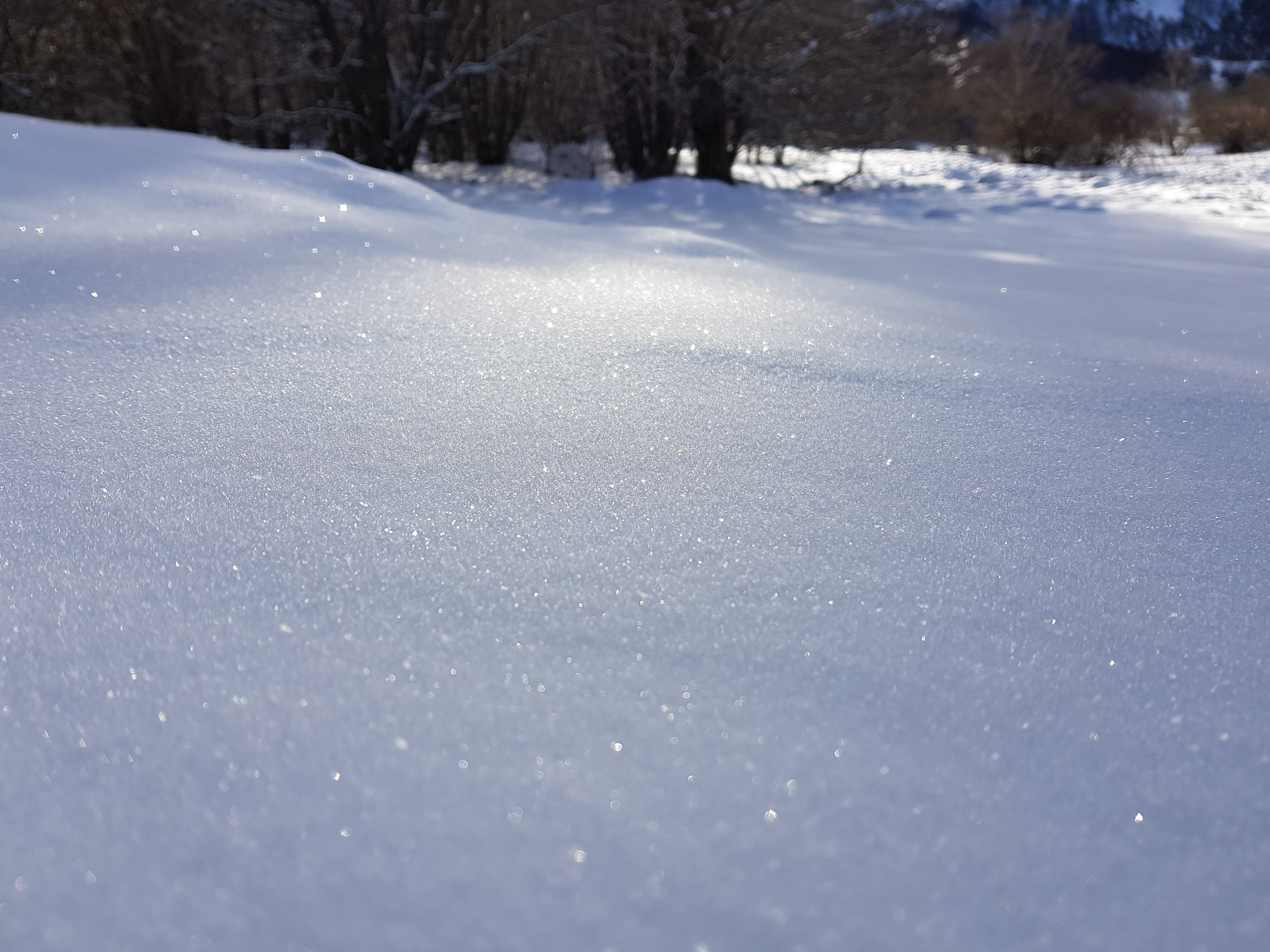Photo n° 4 de l'avis de Guillaume.r fait le 01/03/2018 à 12:50