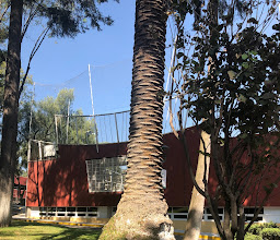 Instituto Tecnológico Autónomo de México photo