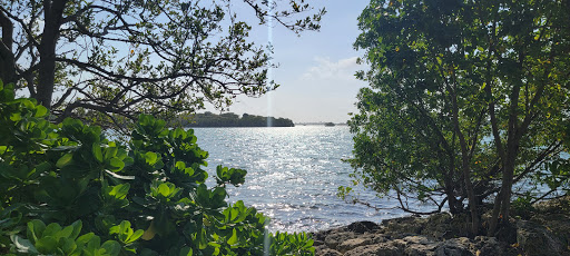 American Restaurant «Upper Eastside Farmers Market», reviews and photos, 6599 Biscayne Blvd, Miami, FL 33138, USA