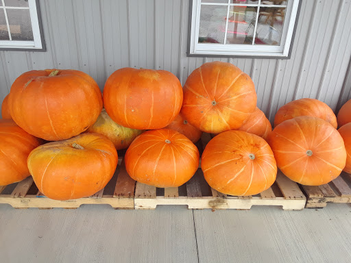 Grocery Store «Freedom Country Store», reviews and photos, 9564 IN-67, Worthington, IN 47471, USA