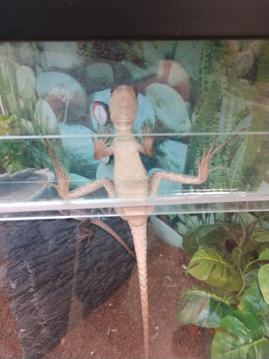 Pet Supply Store «Petco Animal Supplies», reviews and photos, 22966 Sussex Hwy, Seaford, DE 19973, USA