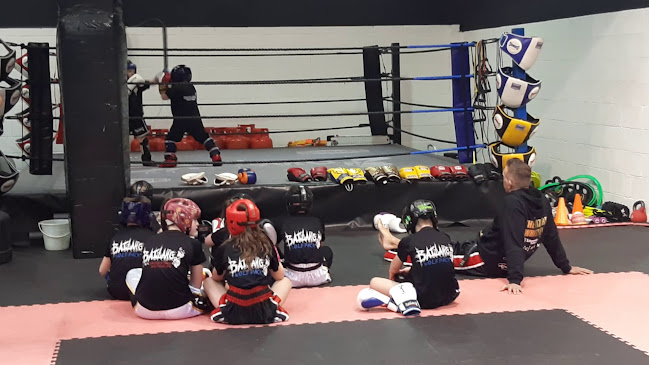 Comments and reviews of Bai Lang Kickboxing Academy