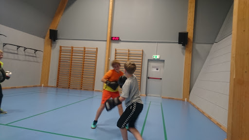 STG Vallø in Hårlev, Stevns