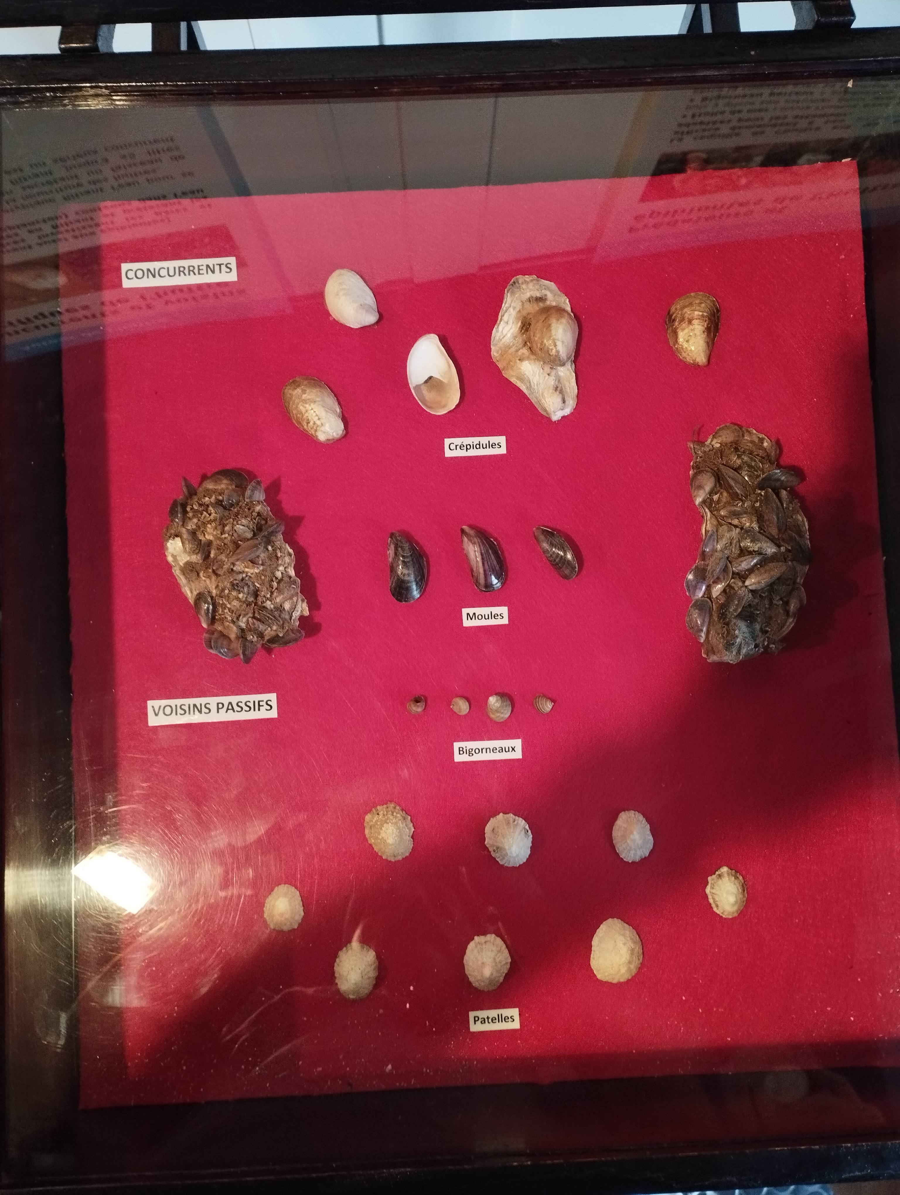 Photo n° 2 de l'avis de Sophie.i fait le 08/08/2022 à 15:27