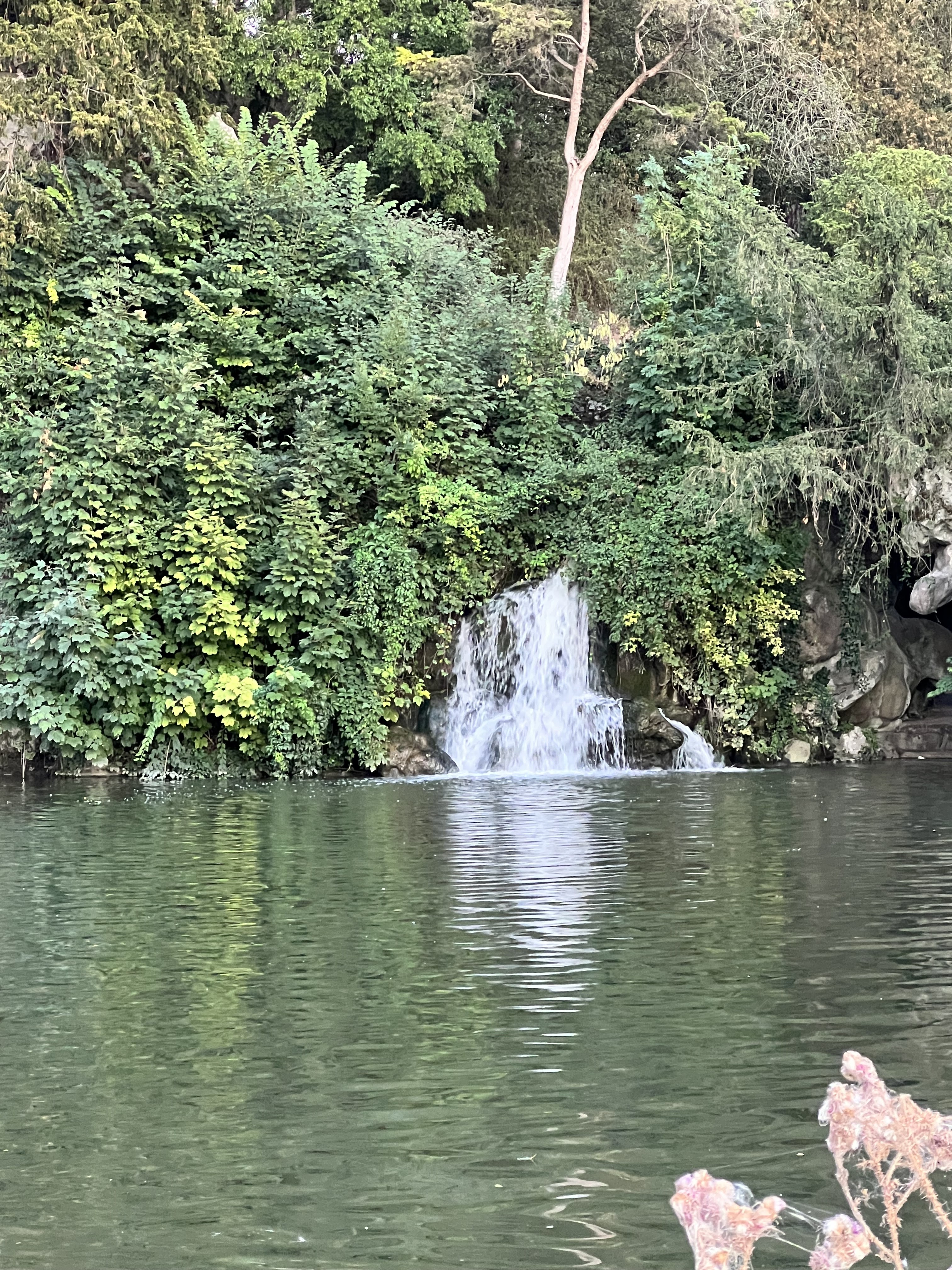 Photo n° 3 de l'avis de Stéph. fait le 08/08/2022 à 19:28