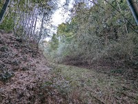 迫城跡/儀俄氏屋敷
