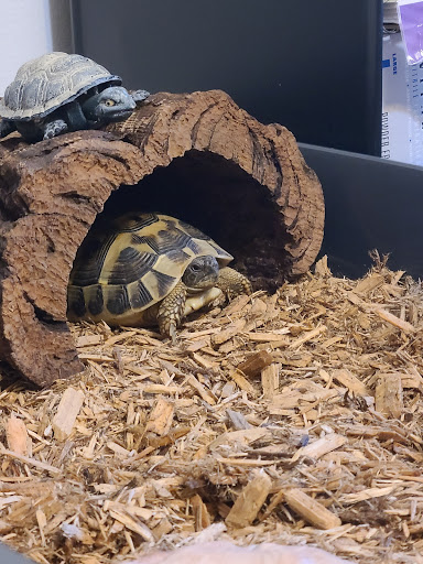 Pet Supply Store «Petco Animal Supplies», reviews and photos, 4950 S 76th St, Greenfield, WI 53220, USA