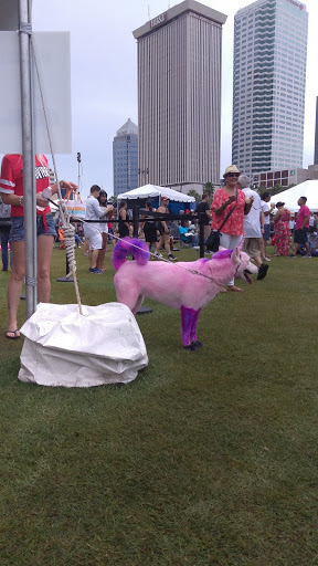 Live Music Venue «Gasparilla Music Festival», reviews and photos, 600 N Ashley Dr, Tampa, FL 33602, USA