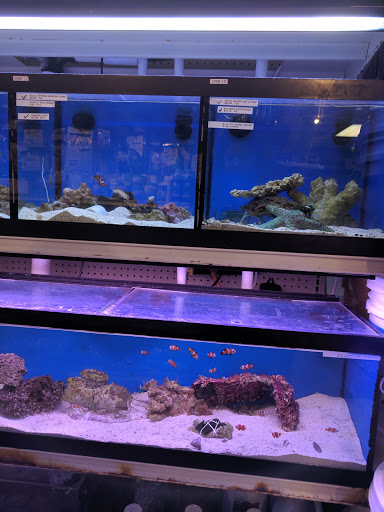 Pet Store «Aquarium Designs», reviews and photos, 15229 San Pedro Ave, San Antonio, TX 78232, USA