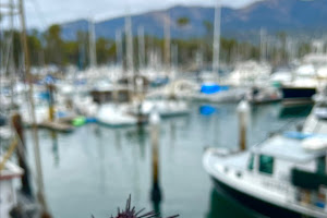 Santa Barbara Sat Morning Fish Market