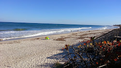 Photo de Lazy Loggerhead beach avec un niveau de propreté de très propre