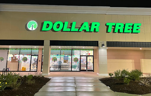 Dollar Store «Dollar Tree», reviews and photos, 3208 Kirchoff Rd, Rolling Meadows, IL 60008, USA