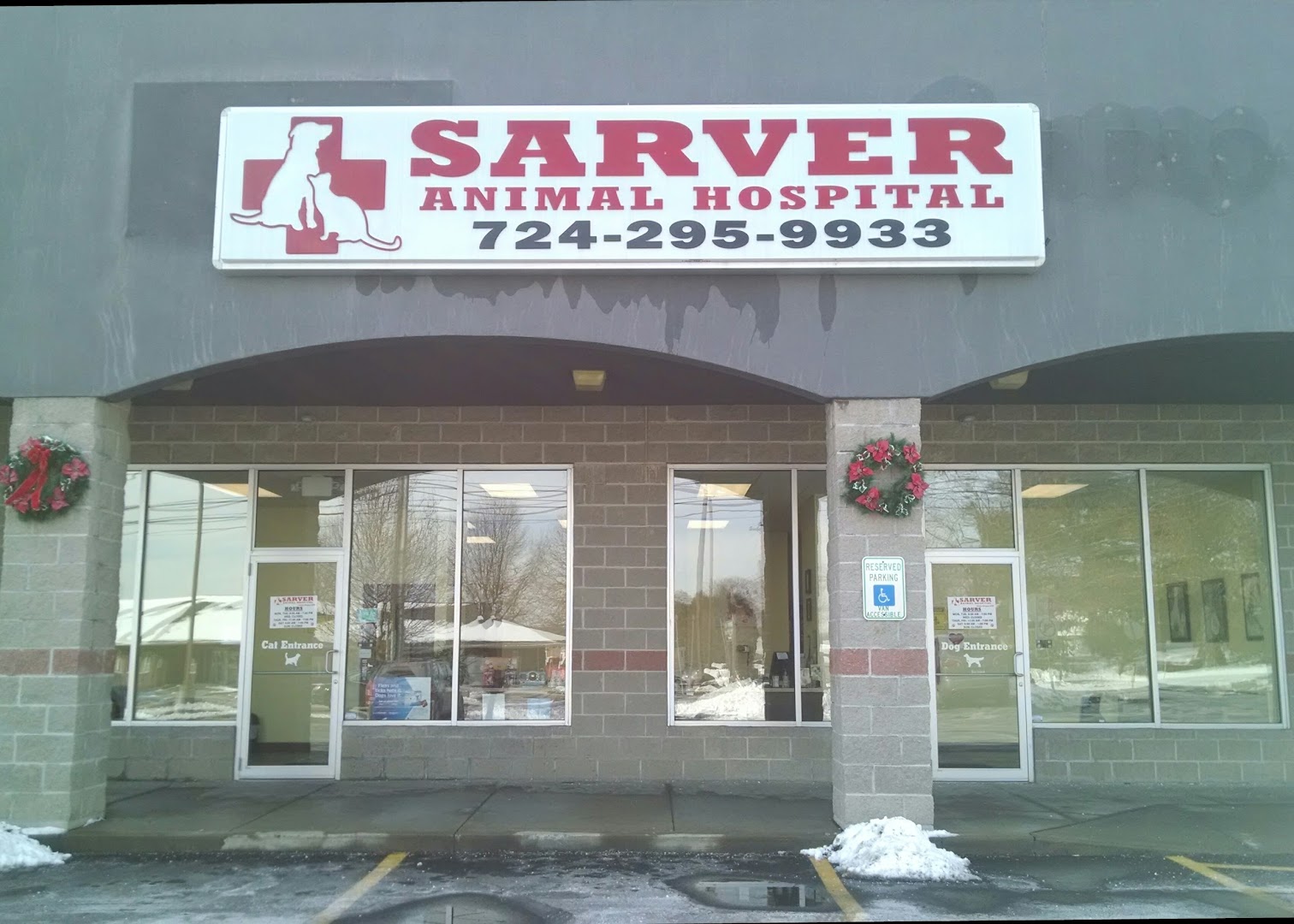 Sarver Animal Hospital: Nicole Milligan DVM