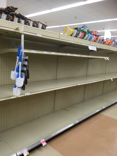 Grocery Store «Winn-Dixie», reviews and photos, 1360 Tampa Rd, Palm Harbor, FL 34683, USA