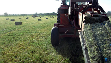 Sherrill Farms Hay