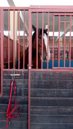 Grocery Store «T C Grocery», reviews and photos, 5109 Bexar St, Dallas, TX 75215, USA