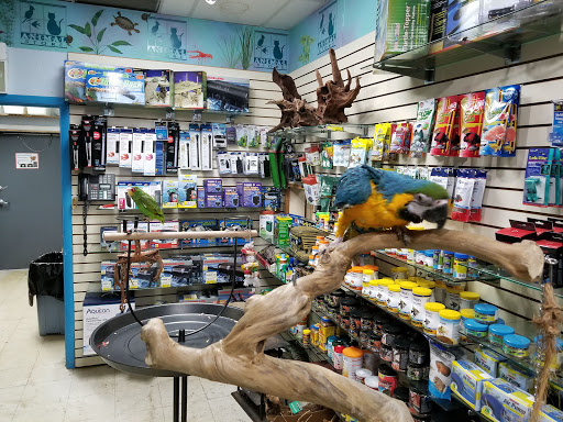 The Animal Store