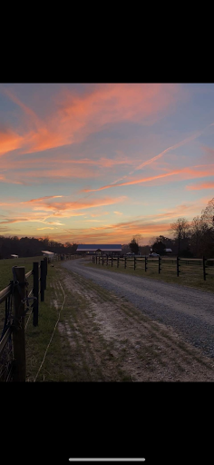 Double Take Stables