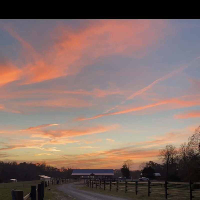 Double Take Stables